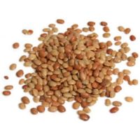 horse-gram